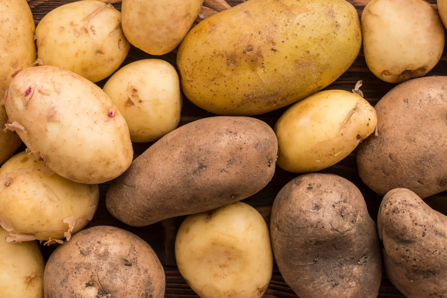 Kartoffeln – Wissenswertes über das vielseitige Lebensmittel