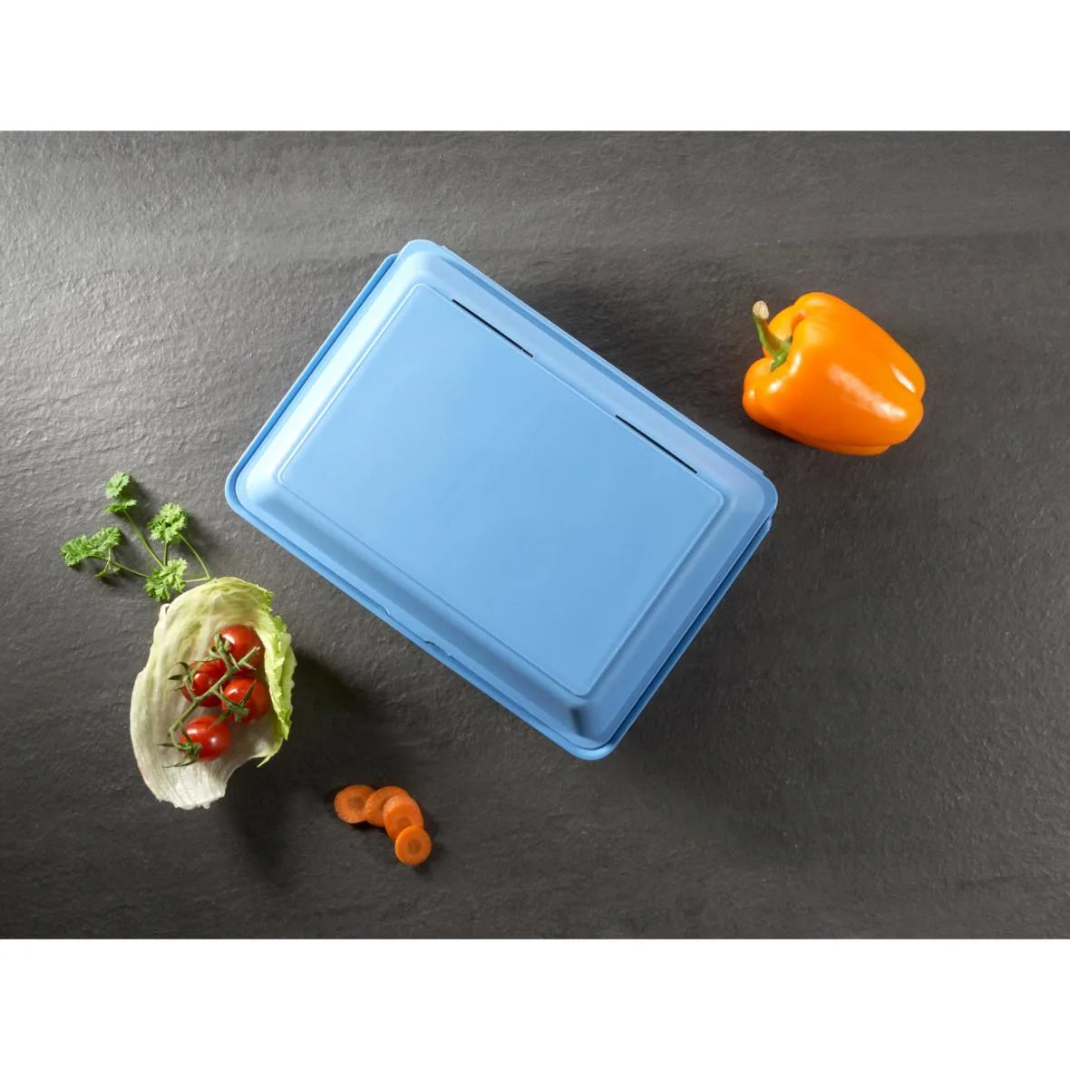 Mehrweg-Menüboxen ToGo, XL, 290x210x84mm, ungeteilt - Better-Pack UG