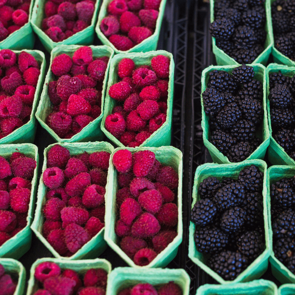 Gastronomie-Betriebe Verpackung für Beeren