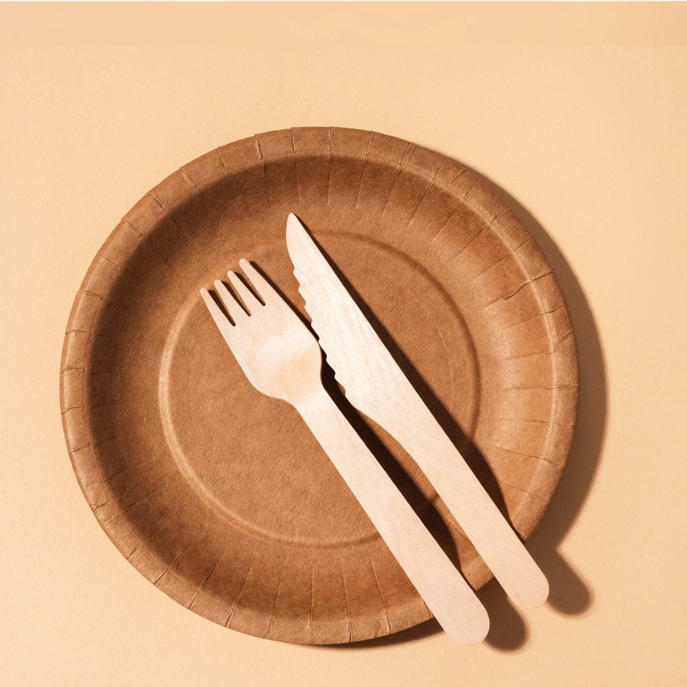 Plastikteller Einweg