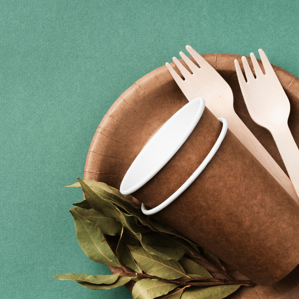 Palmblatt Teller und Bagasse Einwegteller