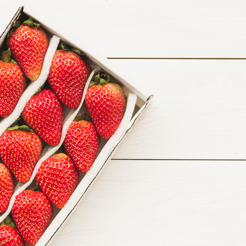 nachhaltigen Beeren Verpackungen