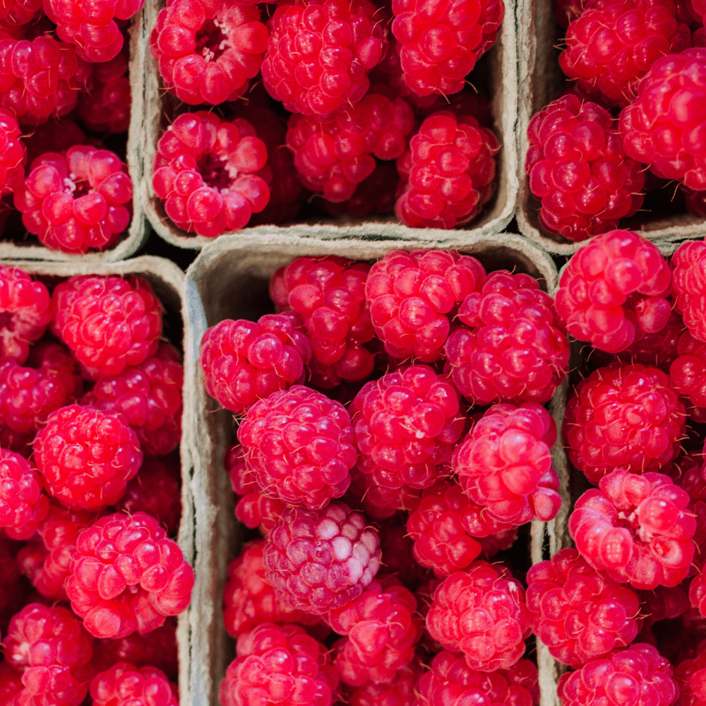 nachhaltigen Beeren Verpackungen