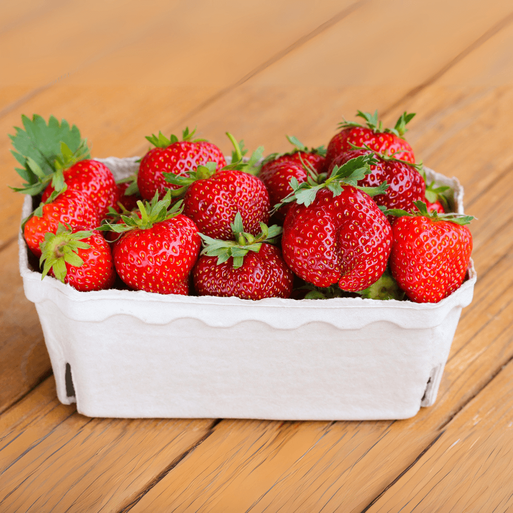 nachhaltigen Beeren Verpackungen aus Pappe