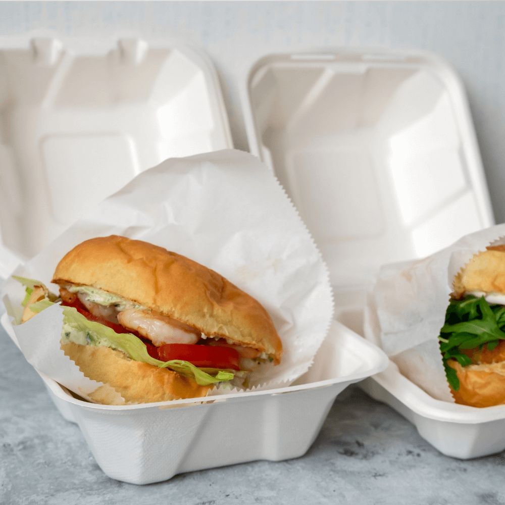Burger Karton nachhaltig