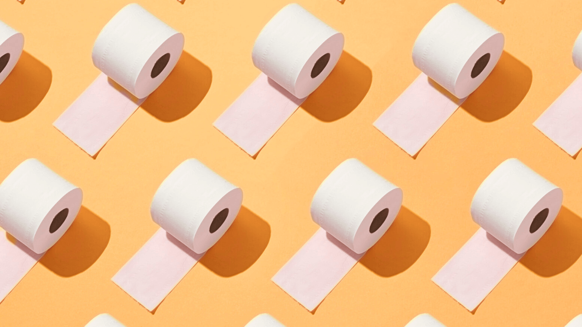 WC Papier