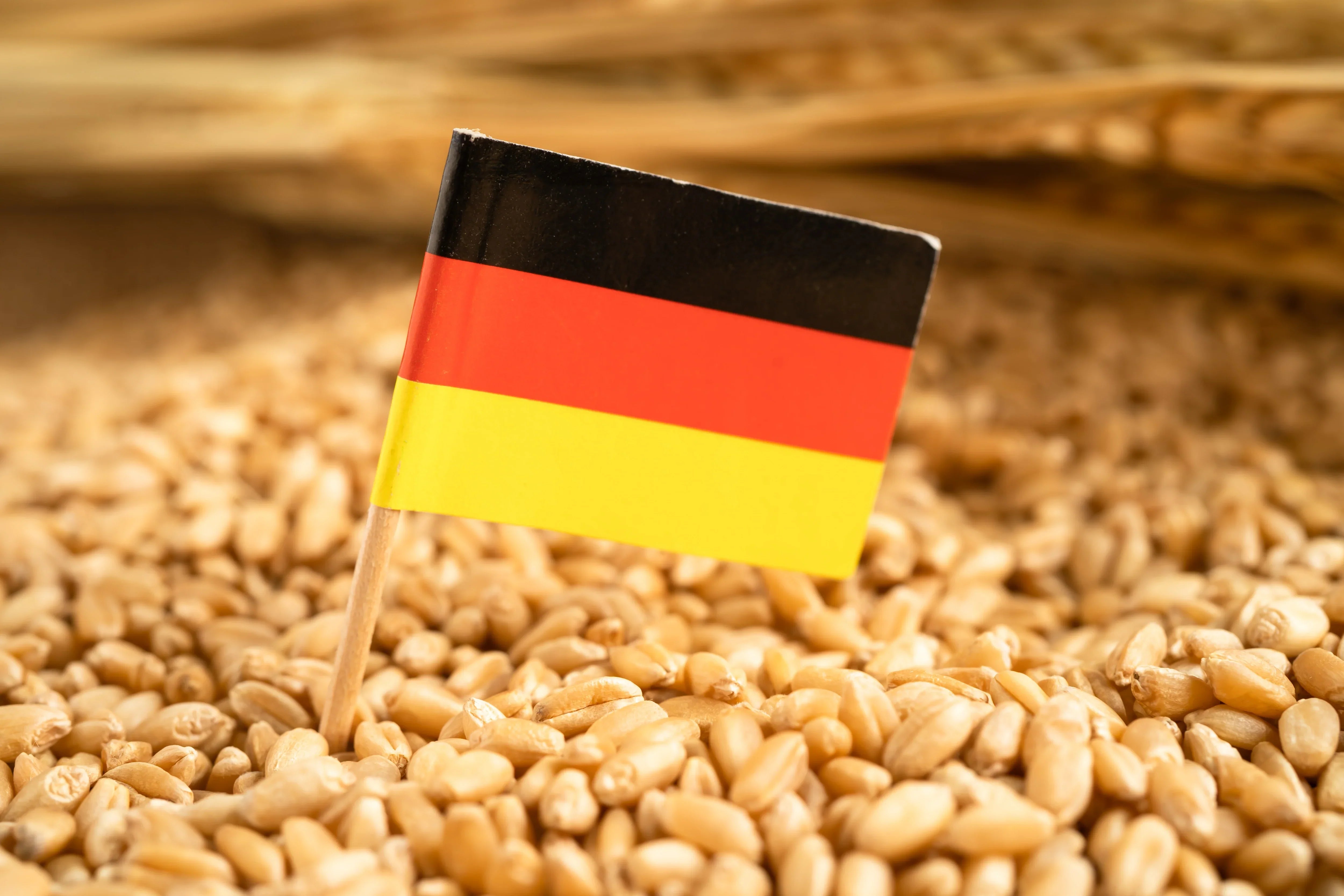 Beliebte deutsche Gerichte im Ausland – Kulinarische Exportschlager
