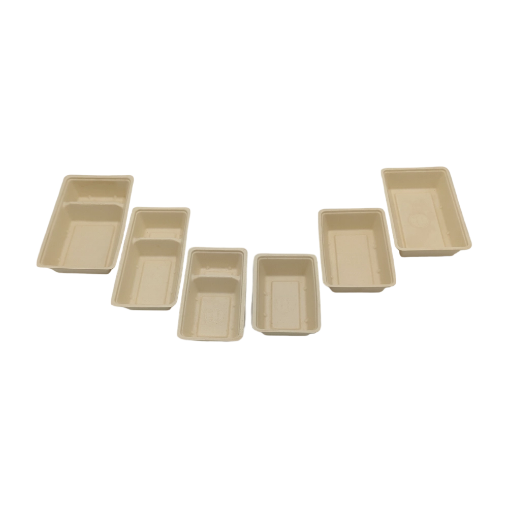 Snackschalen To Go "A23" | Bagasse | 2-geteilt | 169x93x32mm | natur