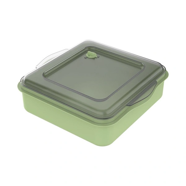 Mehrweg Lunchbox eckig mit transparentem Deckel in grün